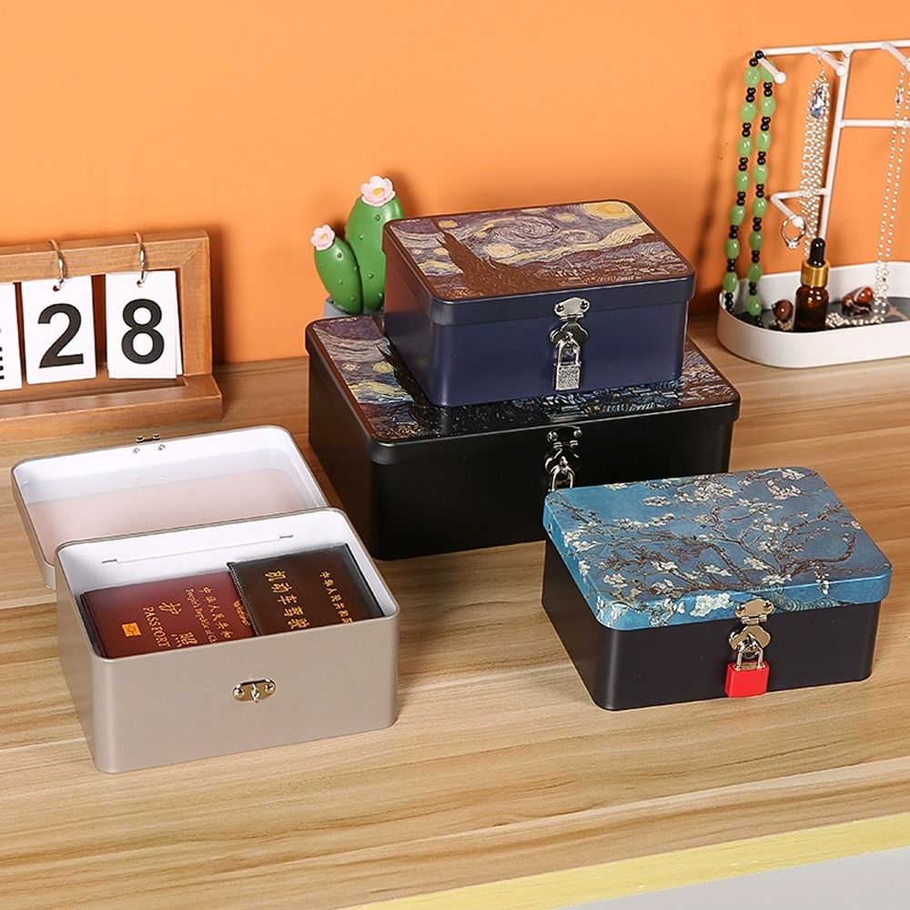 Scatola Regalo di Grandi Dimen - Medicine Cabinet Lock recensione e prezzo